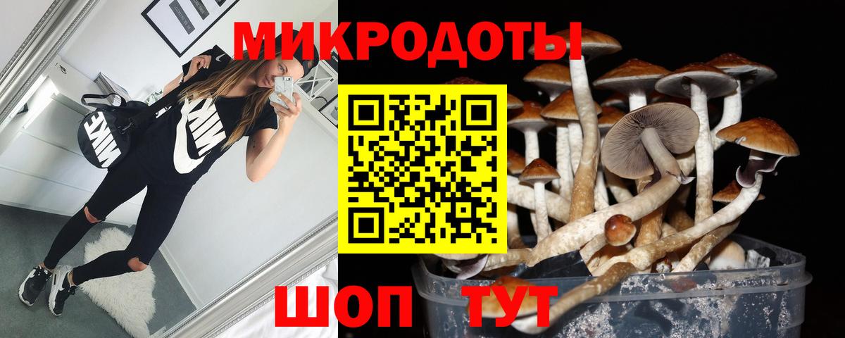 Псилоцибиновые грибы прущие грибы Баксан